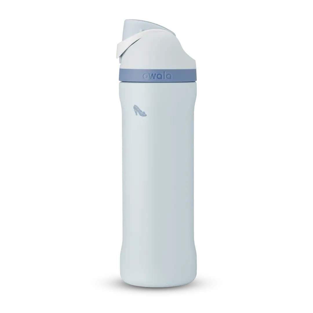 Disney Princess Collection owaloo